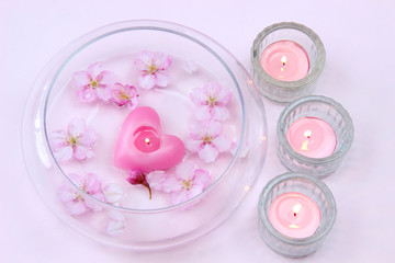 フローティングキャンドルと河津桜の花