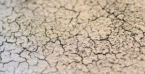 Dry ground in the heat, dry coffee grounds close-up