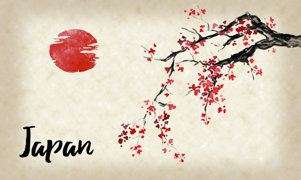 Japan traditional sumi-e painting. Sakura, cherry blossom. Indian ink illustration. Japanese picture.