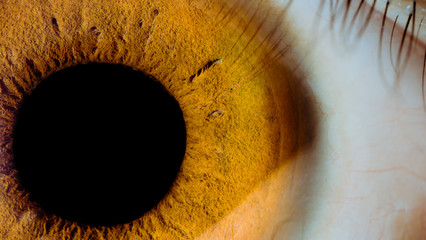 A Window to the Soul