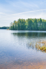 Large forest lake in spring in clear weather