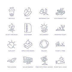 Obraz premium set of 16 thin linear icons such as plant on a hand, tree with many leaves, solar energy, two leaves, plant a tree, reload, apple and books from ecology collection on white background, outline sign
