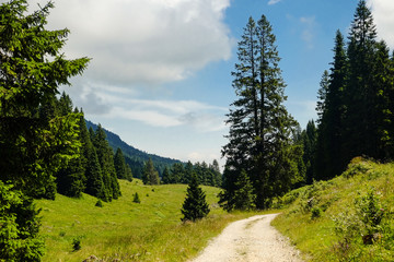 Obraz premium Mountain walkpath trekking, panoraa, ladscape, wallpaper. Passo Coe, Folgaria, Trento, Trentino Alto Adige, Italy. August 2018