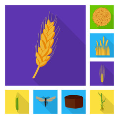 Isolated object of wheat and corn sign. Set of wheat and harvest stock symbol for web.