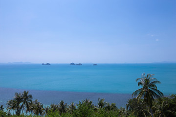Fototapeta na wymiar tropical beach with palm trees and blue sky