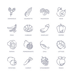 set of 16 thin linear icons such as peach, strawberry, carrot, potatoes, lettuce, chili, pomegranate from fruits collection on white background, outline sign icons or symbols