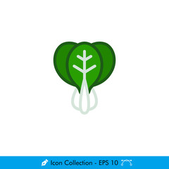 Bok Choy Icon / Vector - In Color Design