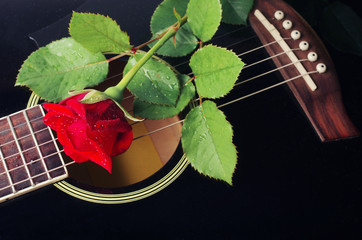 Acoustic guitar and red rose.