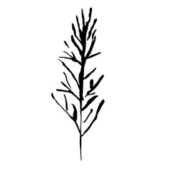 Tree silhouette. Hand drawn vector illustration.
