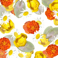 Beautiful floral background of water lilies, daisies and carnations 