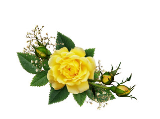 Yellow rose flowers in a floral arrangement