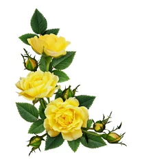 Gordijnen Yellow rose flowers in a corner arrangement © Ortis