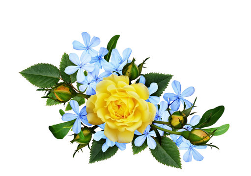 Yellow Roses And Blue Small Flowers In A Floral Arrangement