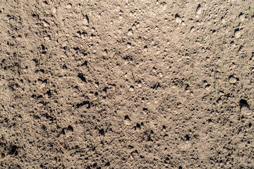 clean ploughed land in spring lit by the sun