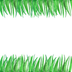 watercolor banner with the image of green grass on the top and bottom of a picture with a white background for the design of cards, postcards and decoration