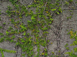 Architecture in Singapore. Year 2004