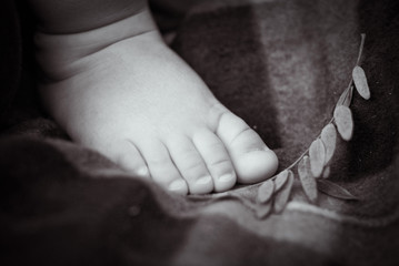 Newborn baby's feet