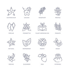 set of 16 thin linear icons such as nymphea, oak, oleander, orchid, pansy, peony, peppermint from nature collection on white background, outline sign icons or symbols