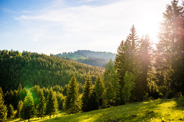 Beautiful view of the Carpathian hills and forests