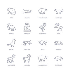 set of 16 thin linear icons such as anteater, rhinoceros, alpaca, antelope, badger, bull, cheetah from animals collection on white background, outline sign icons or symbols