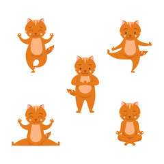 Collection cartoon funny ginger cat practicing yoga position.