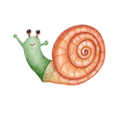 snail isolated on white background,Watercolor hand painted illustration.