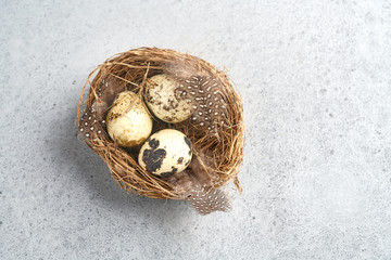 Quail eggs in a nest on a concrete background