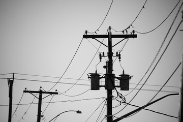 Power poles and power lines in black and white