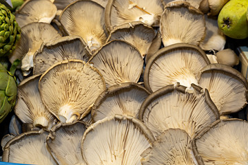 Setas en el mercado.