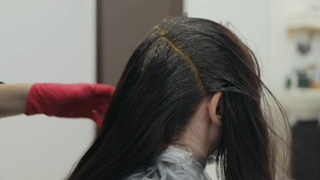 Hairdresser coloring taking strand of dark-haired woman with brown hair dye at the back of her head. Female hairdresser hands in red rubber gloves coloring hair roots with a black brush