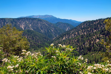 San Bernardino Mountains 