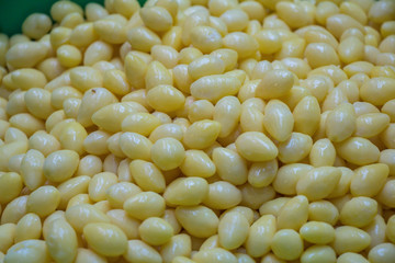 Selective focus of fresh Ginkgo Biloba seeds on background. Also known as the Ginkgo or Gingko.
