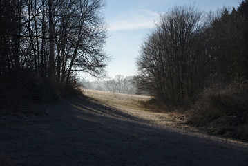 Felder im Eis und Sonne