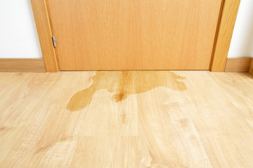 flood in my building