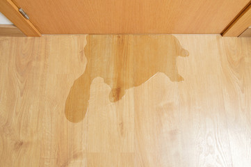 flood in my building