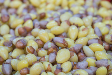 Selective focus of fresh Ginkgo Biloba seeds on background. Also known as the Ginkgo or Gingko.