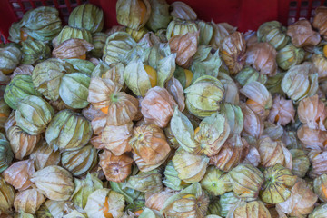 Fototapeta na wymiar Cape gooseberry fruits (Physalis peruviana)background.Commonly called goldenberry, golden berry, Pichuberry.