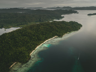 aerial view of tropical island coastline 
