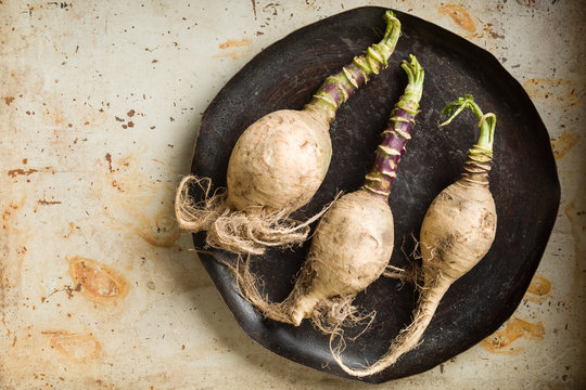 Raw gilfeather turnips on a rustic metal table.