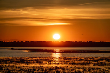 Sunrise behind tree forest and lagoon with reflection