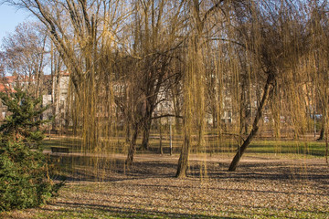 Winter in Ribnjak Park next to the cathedral in Zagreb, Croatia