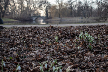 Frühling in Hannover