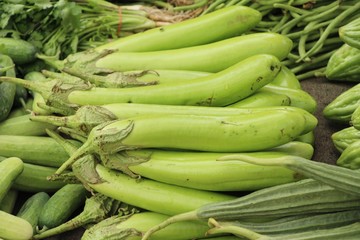 Fresh eggplant green organic at street food