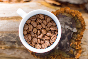 Coffee grains in a white cup in the forest.