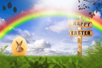 Osterhase auf einer grünen Wiese. Postkarte.