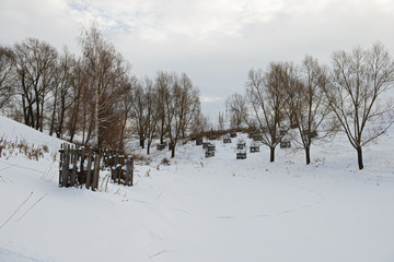 winter landscape with a snow-covered ravine and trees