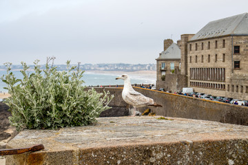 Saint-Malo, France	