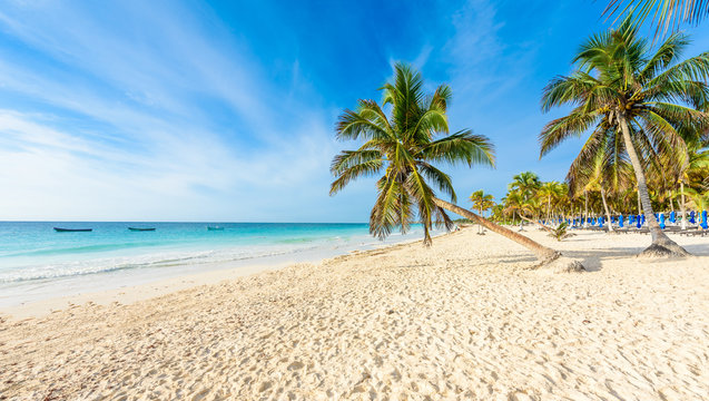 Paradise Beach (also known for Playa Paraiso) at sunny summer day - beautiful and tropical caribbean coast at Tulum in Quintana Roo, Riviera Maya, Cancun,  Mexico