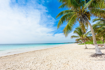 Obraz na płótnie Canvas Paradise Beach (also known for Playa Paraiso) at sunny summer day - beautiful and tropical caribbean coast at Tulum in Quintana Roo, Riviera Maya, Cancun, Mexico