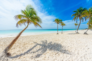 Paradise Beach (also known for Playa Paraiso) at sunny summer day - beautiful and tropical caribbean coast at Tulum in Quintana Roo, Riviera Maya, Cancun,  Mexico